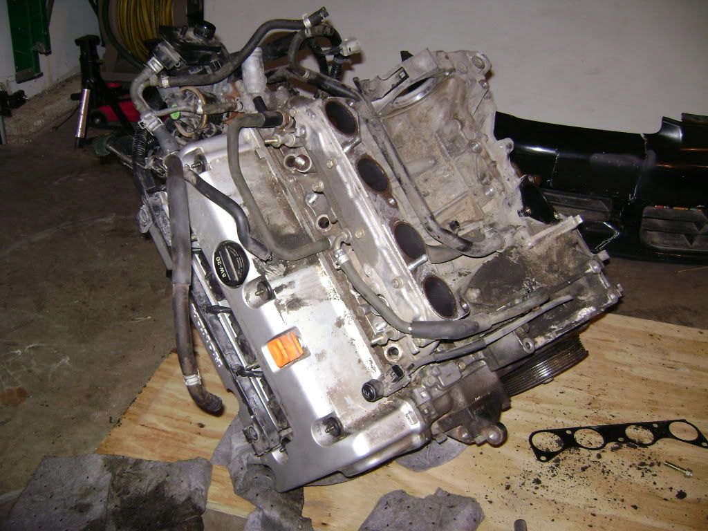 K24a4 / D16z6 .. The K Series Source . Honda / Acura K20a k24a Engine Forum